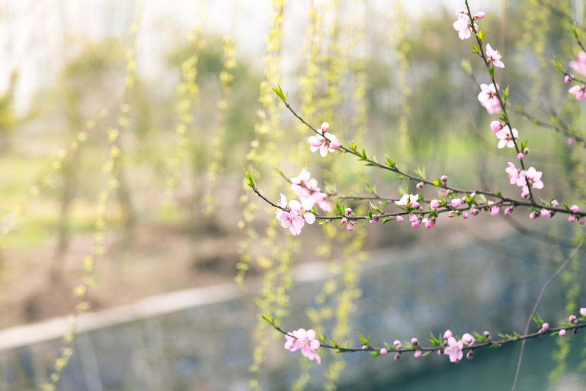 How HR Tech can put a spring back in the step of your payroll function