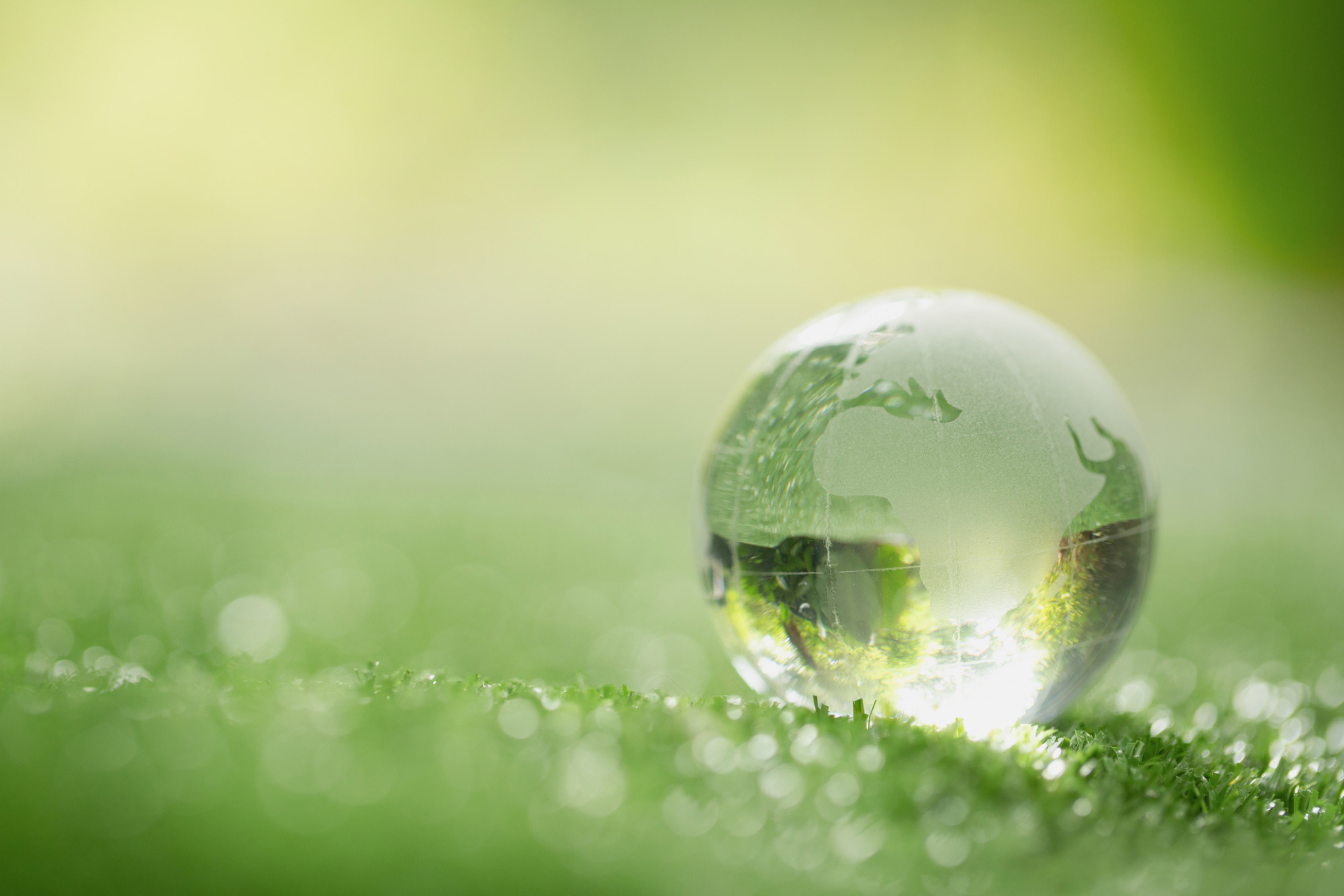 Close up of crystal globe resting on green grass in a forest
