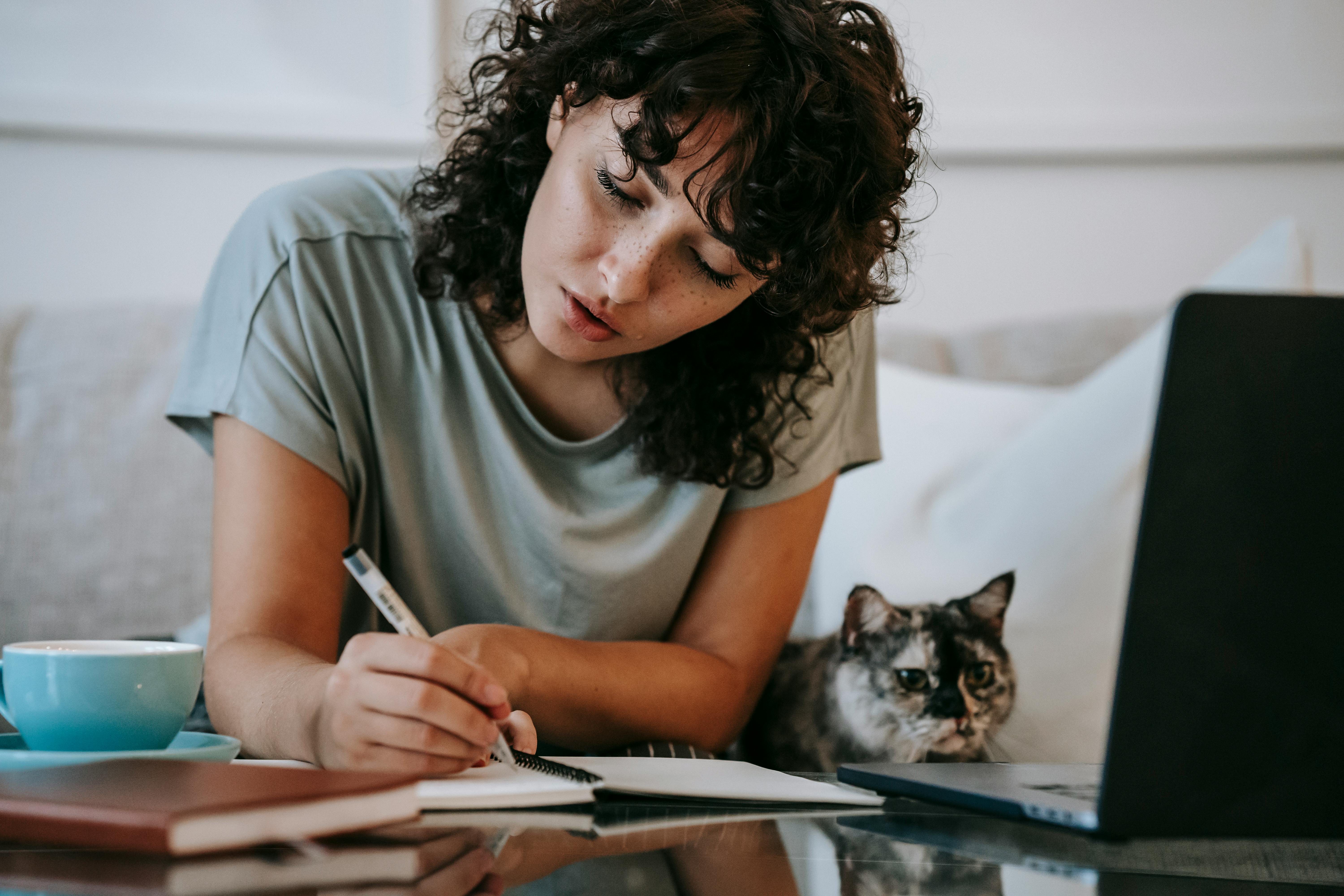 Young woman with laptop and cat working at sofa.