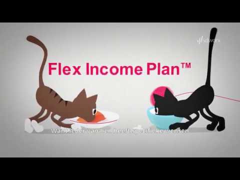 Flex Income Plan SD Worx